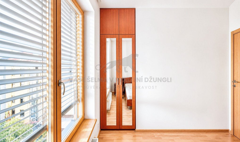 Pronájem bytu 2+kk 45 m², Praha – náhled fotky 9