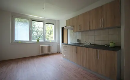 Pronájem bytu 2+kk 45 m², Plzeňská, Ostrava - Zábřeh