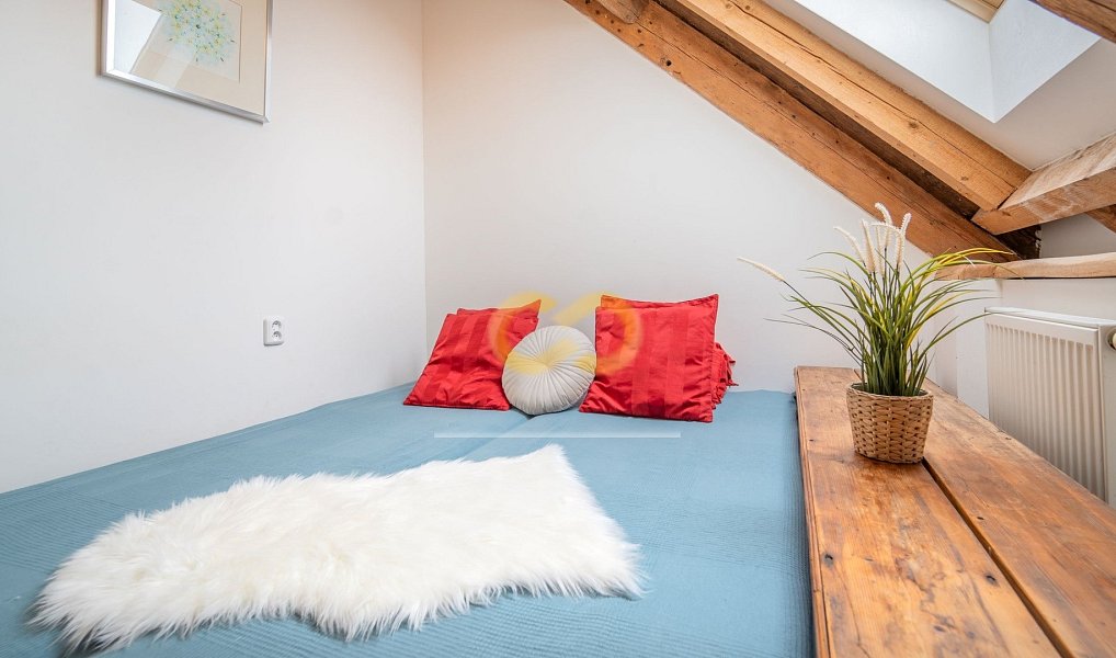 Prodej ubytovacího objektu 590 m², Uzeničky – náhled fotky 14