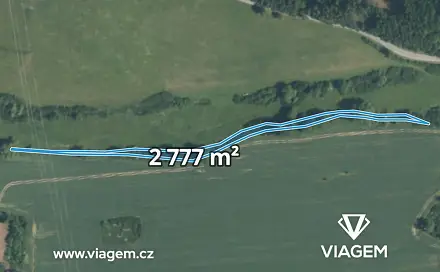 Prodej lesa 2 777 m², Svojšín, okres Tachov