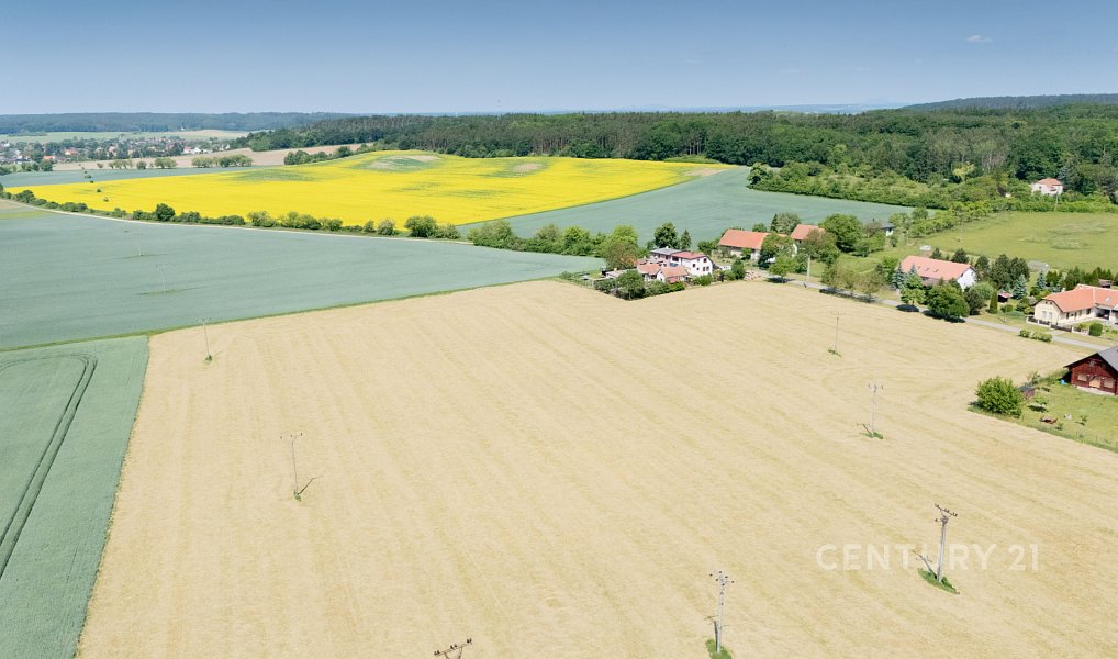 Prodej stavebního pozemku 5 553 m², Jizbice – náhled fotky 9