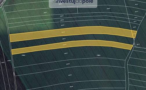 Prodej pole 3 181 m², Sadská, okres Nymburk