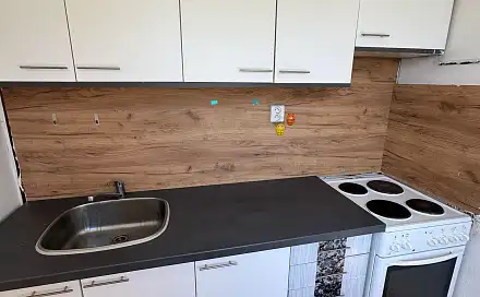 Pronájem bytu 2+1 41 m², Josefa Ševčíka, Most