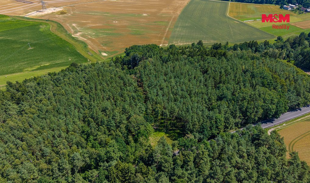 Prodej lesa 22 447 m², Bílá – náhled fotky 5