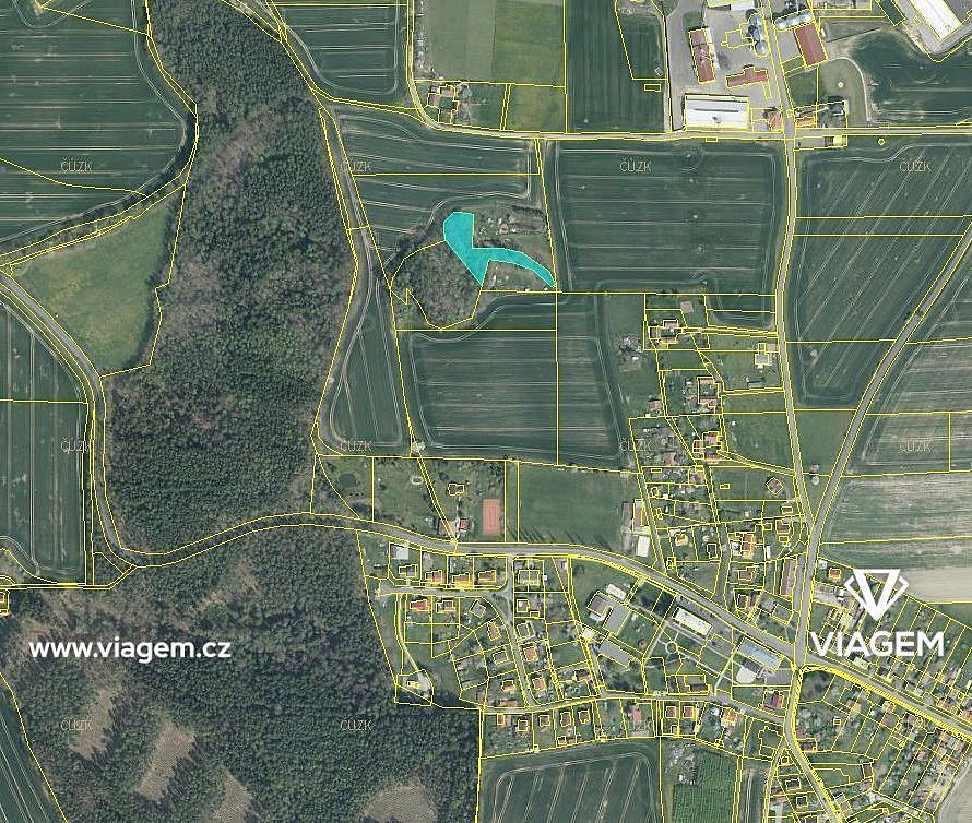 Prodej lesa 2 049 m² – fotografie 2
