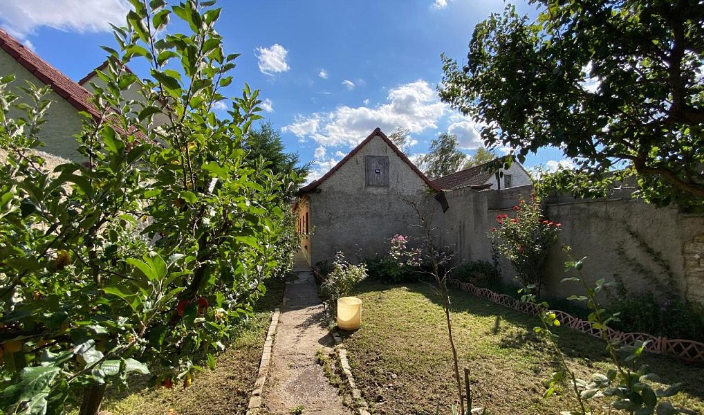 Prodej domu 57 m² s pozemkem 299 m², Bříza – náhled fotky 17