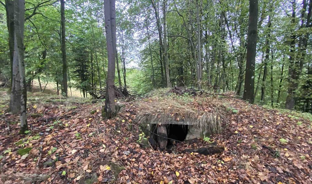 Prodej stavebního pozemku 3 849 m², Benešov nad Černou – náhled fotky 6
