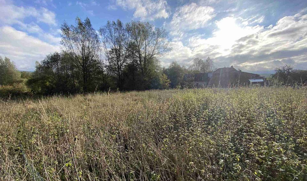 Prodej stavebního pozemku 3 207 m², Králíky – náhled fotky 3