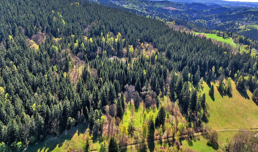 Prodej stavebního pozemku 21 708 m², Vítkovice – náhled fotky 11