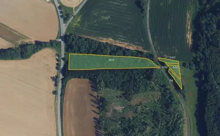 Prodej lesa 9 935 m², Městečko Trnávka, okres Svitavy