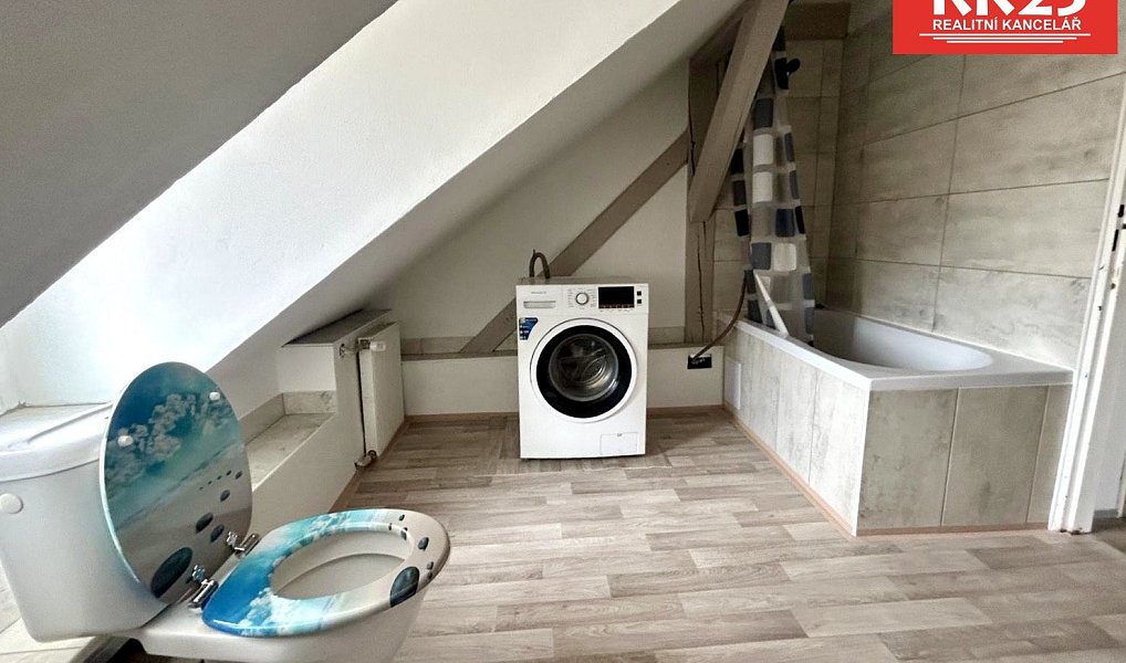 Pronájem bytu 1+kk 45 m², Cheb – náhled fotky 9