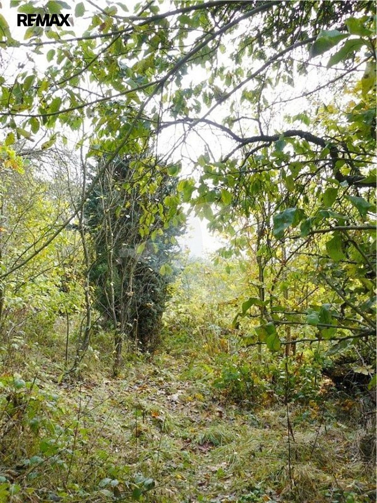 Prodej stavebního pozemku 1 311 m² – fotografie 4
