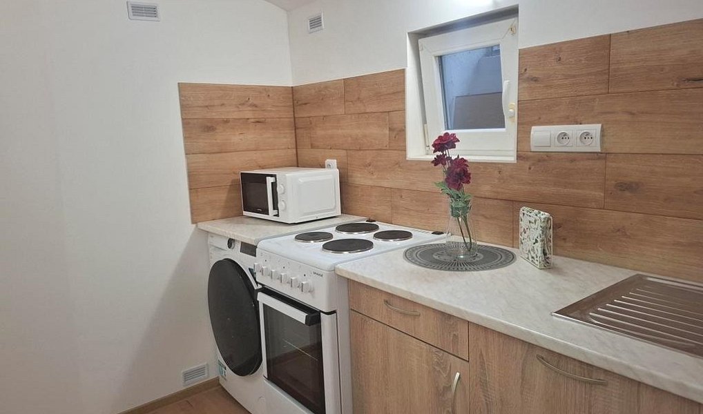 Prodej bytu atypického 62 m², Brno – náhled fotky 2