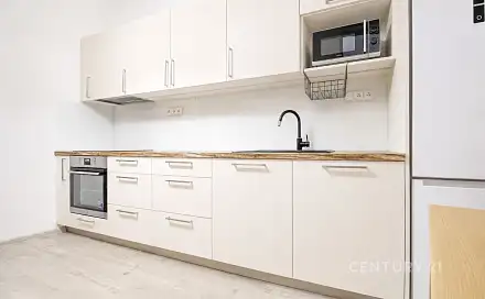 Prodej bytu 2+1 56 m², Cacovická, Brno - Husovice