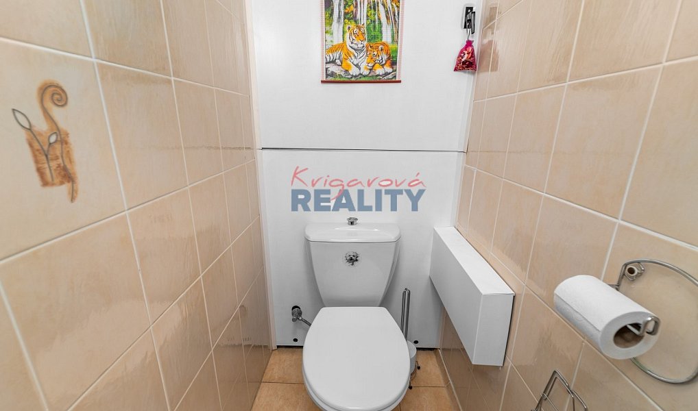 Prodej bytu 4+1 78 m², České Budějovice – náhled fotky 19
