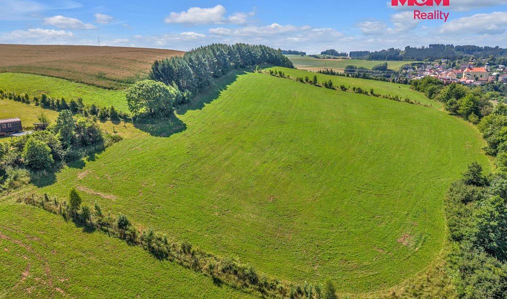 Prodej louky 17 267 m², Pecka – náhled fotky 4