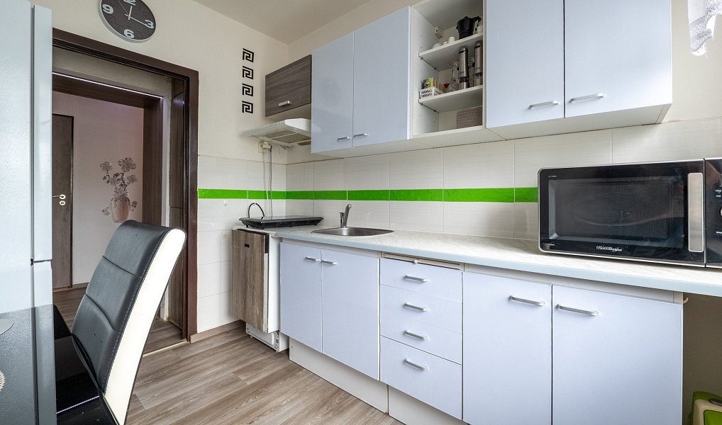 Prodej bytu 3+1 60 m², Brno – náhled fotky 2