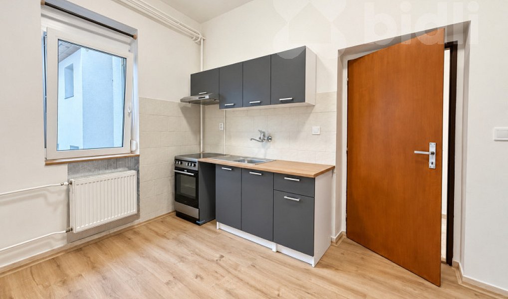 Pronájem bytu 1+1 44 m², Nový Bydžov – náhled fotky 5