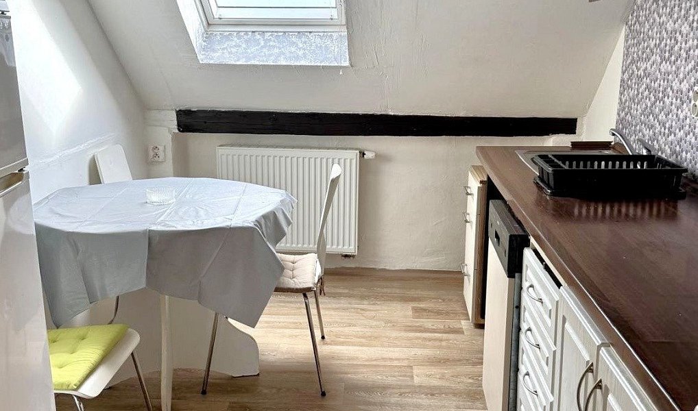 Pronájem bytu 2+1, 46 m², Tachov, Chodová Planá
