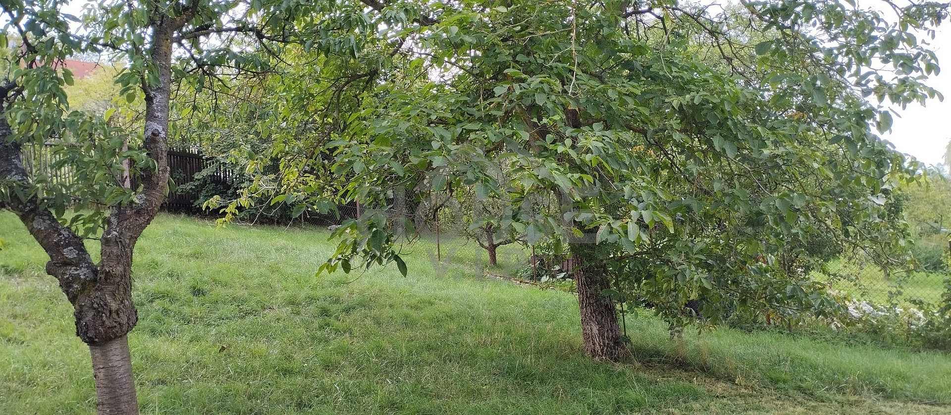 Fotka 14 z 18