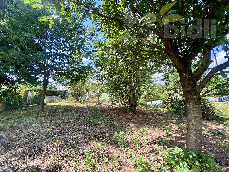 Prodej zahrady 254 m² – fotografie 2