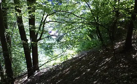 Prodej pozemku 675 m², Děčín