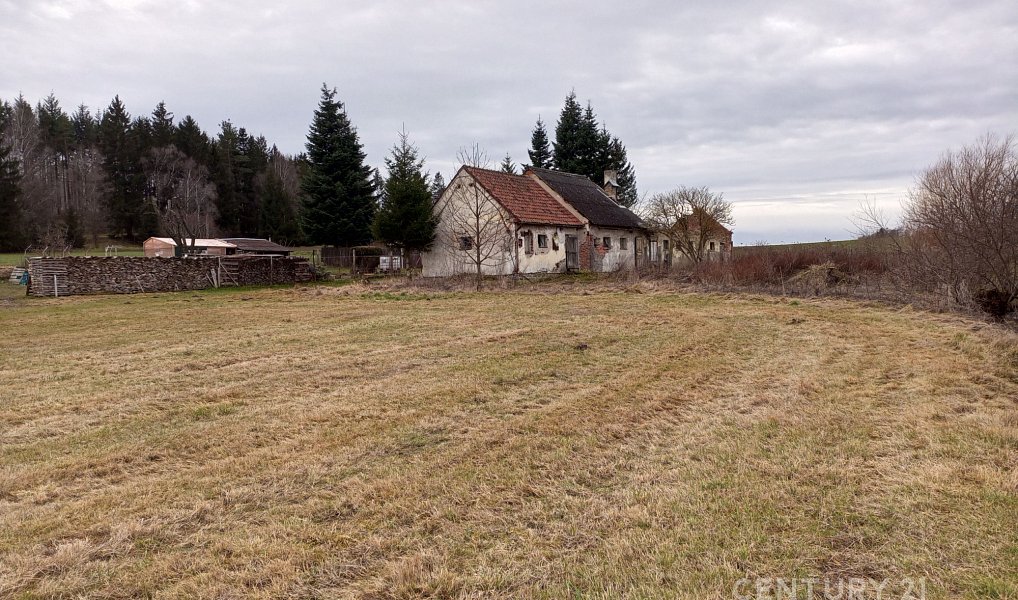 Prodej domu 180 m² s pozemkem 3 068 m², Studená – náhled fotky 5