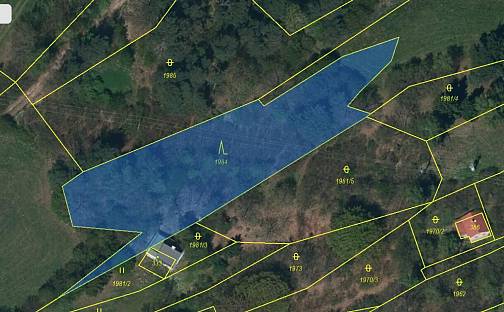 Prodej lesa 2 434 m², Mrákotín, okres Jihlava