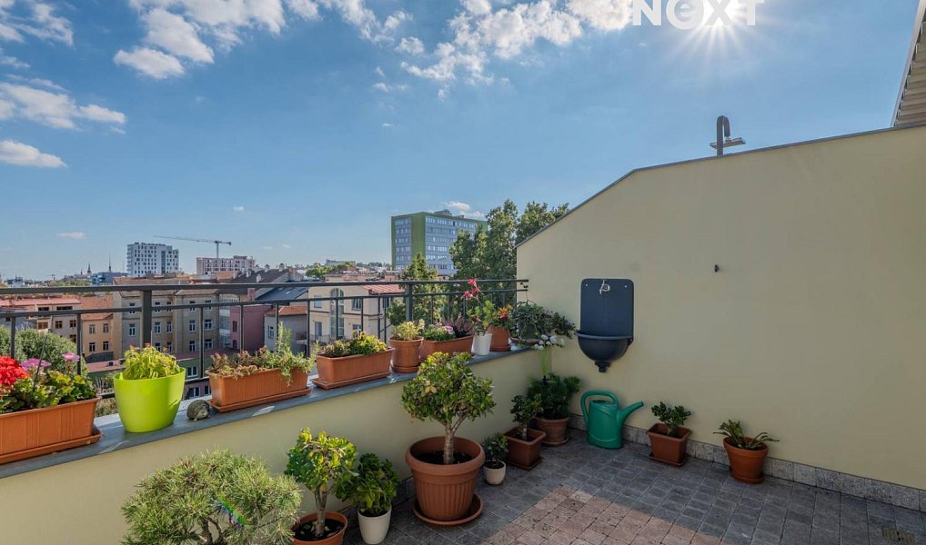 Prodej bytu 2+1 69 m², Brno – náhled fotky 14
