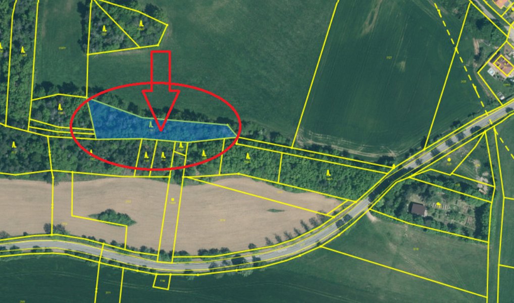 Prodej lesa 2 163 m², Třebohostice – náhled fotky 2