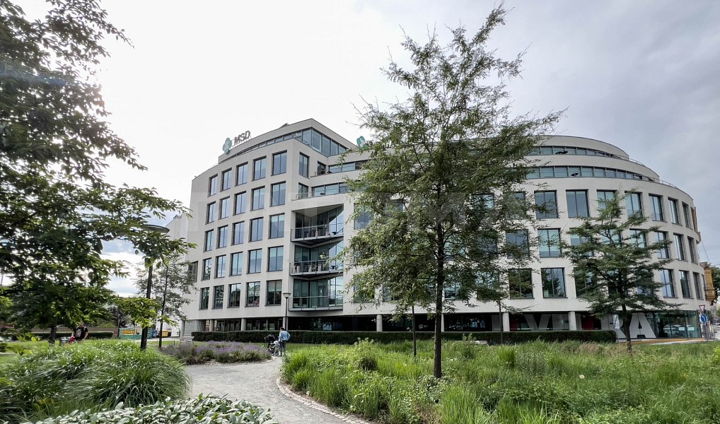 Pronájem obchodních prostor 416 m², Praha – náhled fotky 8