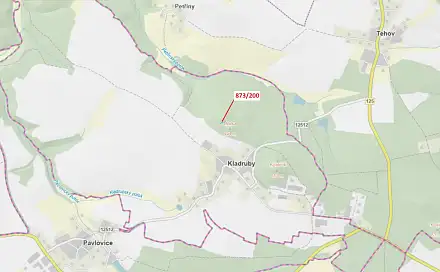 Dražba lesa 189 m², Kladruby
