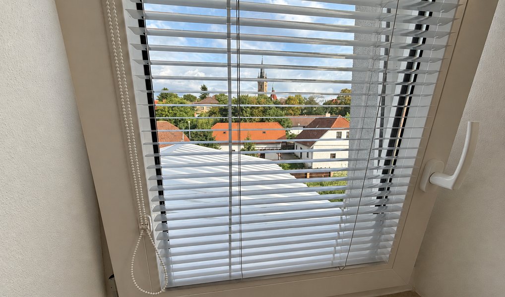 Pronájem bytu 1+kk 45 m², Čáslav – náhled fotky 6