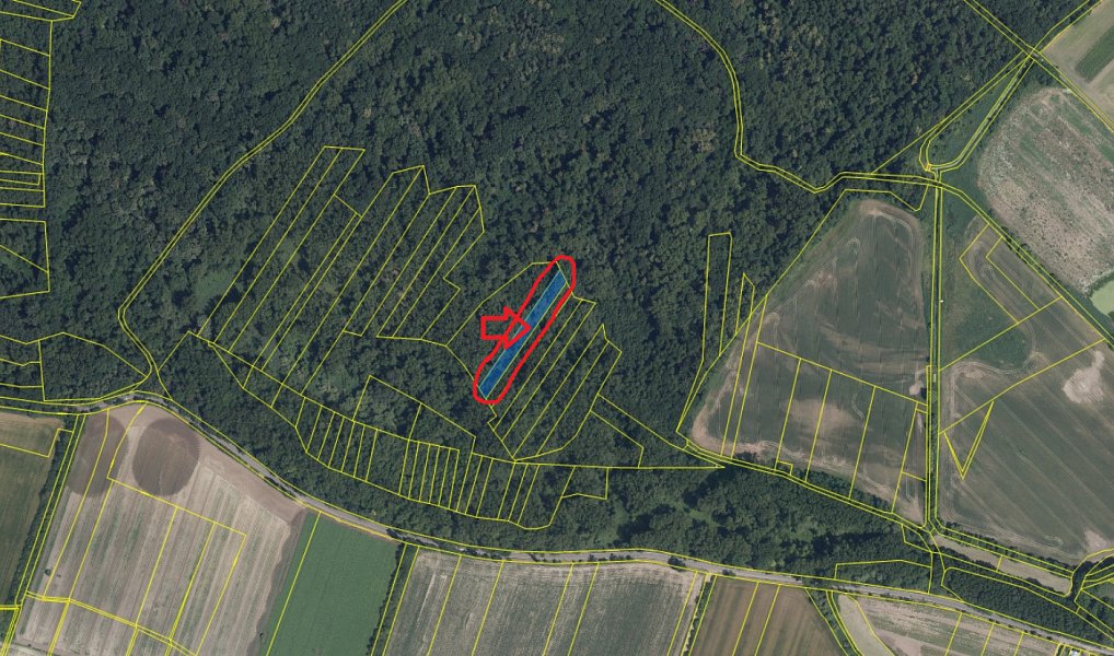 Prodej lesa 2 268 m², Přerov nad Labem – náhled fotky 5
