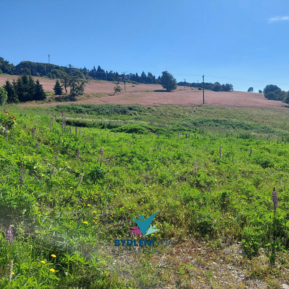 Prodej stavebního pozemku 2 000 m²