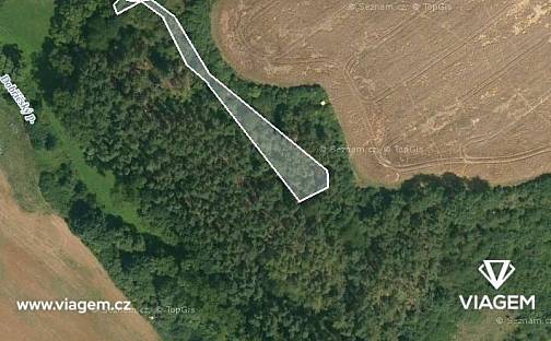 Prodej lesa 1 208 m², Kaceřov, okres Plzeň-sever