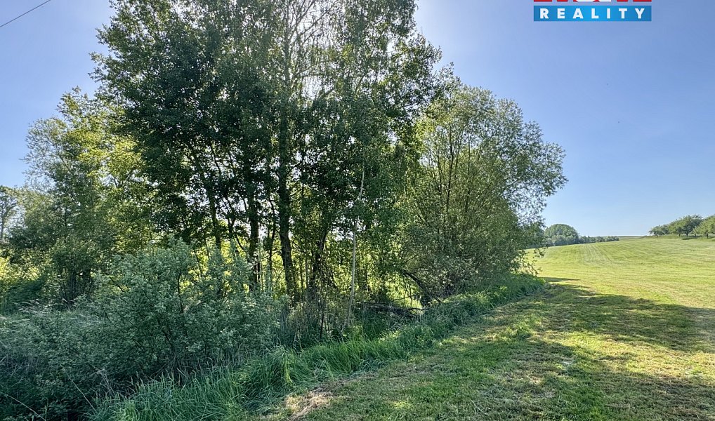 Prodej stavebního pozemku 8 618 m², Chýstovice – náhled fotky 3
