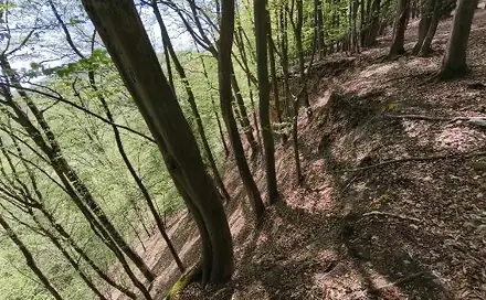Prodej lesa 26 738 m², Luže - Doly, okres Chrudim