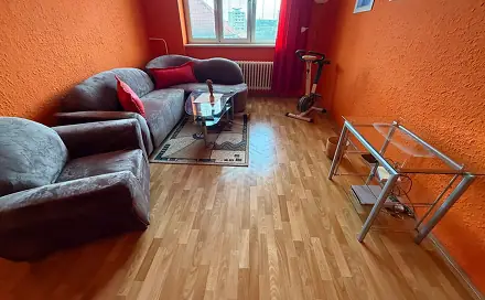 Prodej bytu 2+1 57 m², Petra Jilemnického, Most