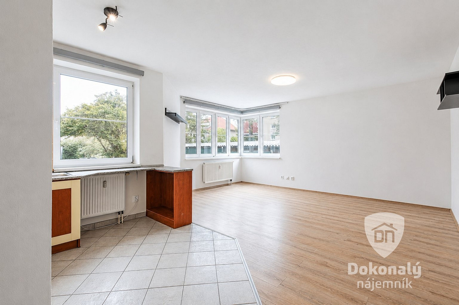 Pronájem bytu 1+kk 50 m² - Widok 3
