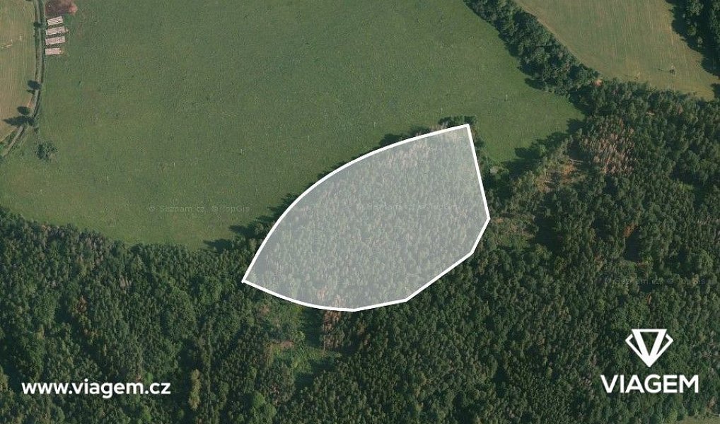 Prodej lesa 13 775 m², Čím – náhled fotky 3