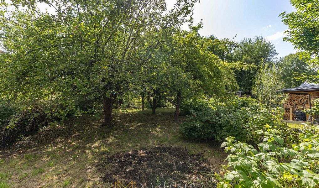 Prodej stavebního pozemku 1 251 m², Zlaté Hory – náhled fotky 33
