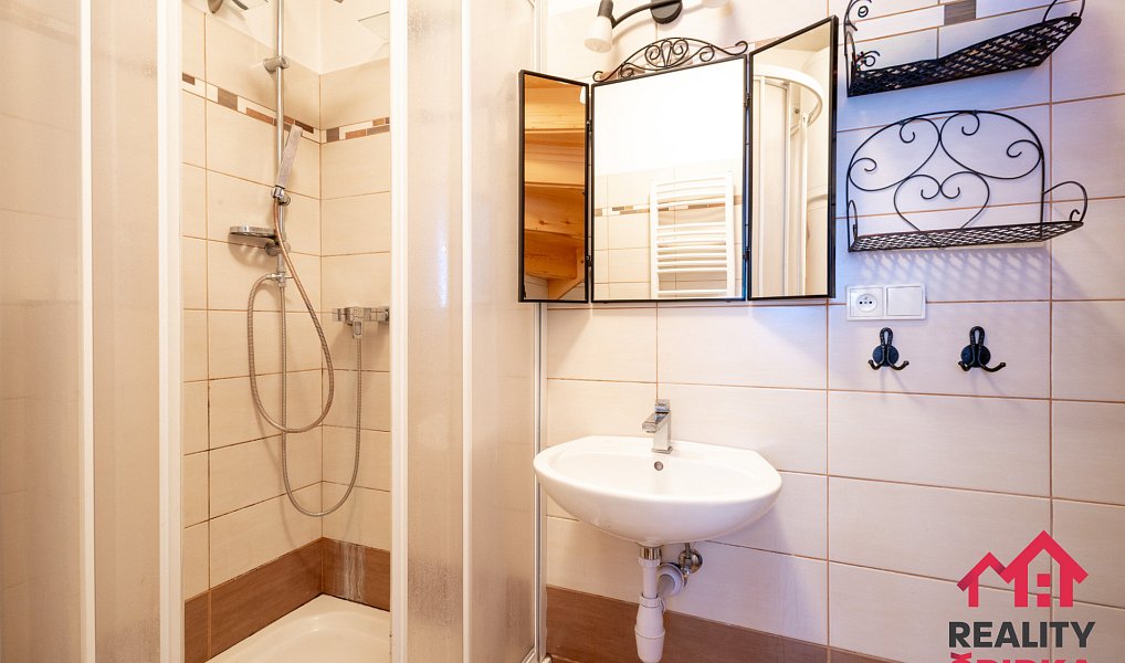 Prodej bytu 1+1 29 m², Moravská Třebová – náhled fotky 5