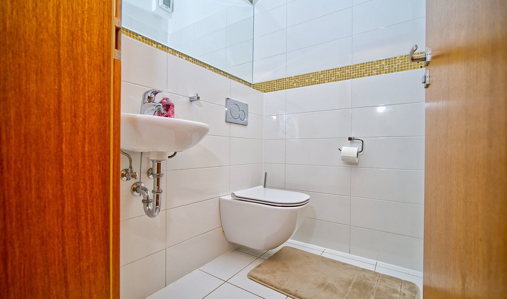 Prodej domu 376 m² s pozemkem 2 273 m², Syrovice – náhled fotky 9