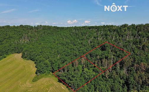 Prodej lesa 3 149 m², Chrustenice