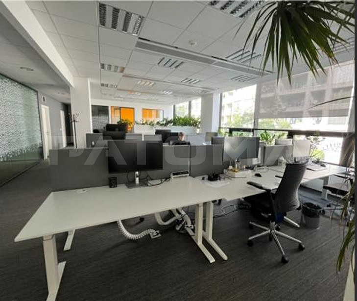 Pronájem kanceláře 467 m² – fotografie 5