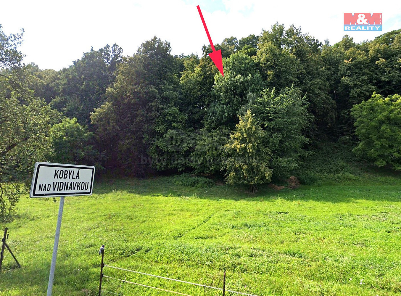Prodej lesa 1 876 m²