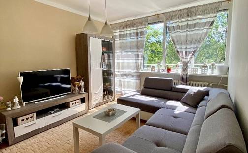 Prodej bytu 2+1 48 m², Slovenského národního povstání, Liberec - Liberec V-Kristiánov