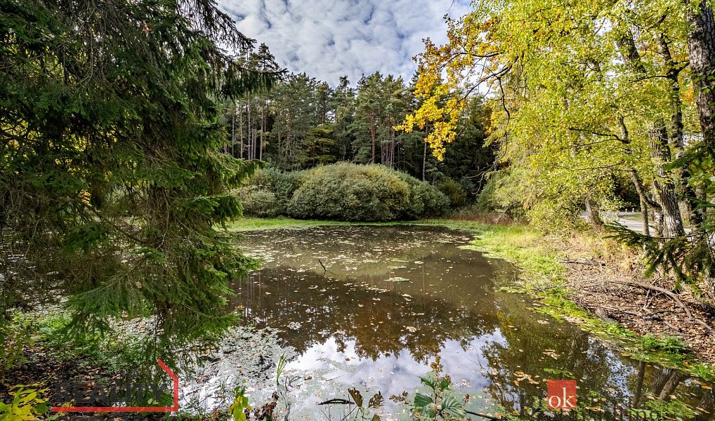 Prodej vodní plochy 64 790 m², Chlum u Třeboně – náhled fotky 12