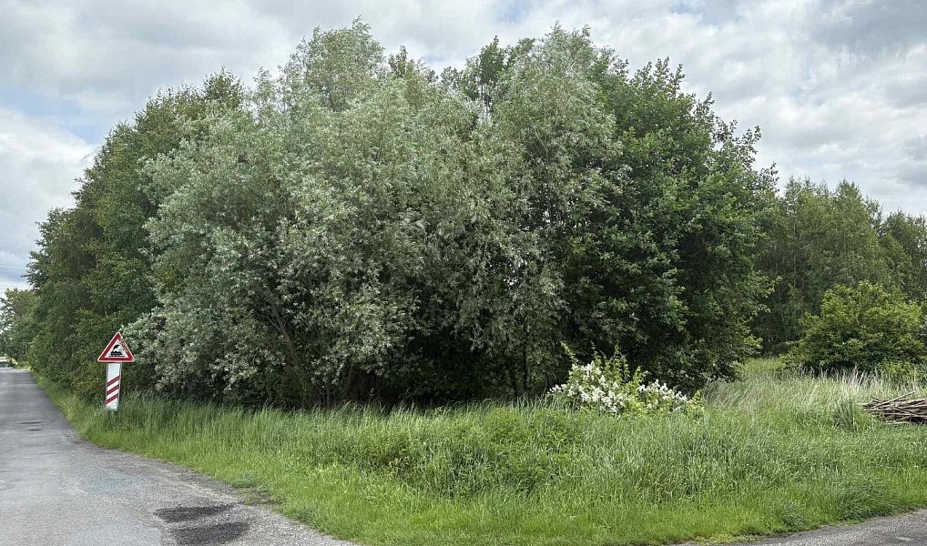 Prodej stavebního pozemku 9 386 m², Petrovice u Karviné – náhled fotky 4